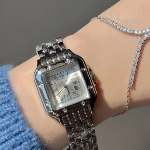Cartier stainless watch🦅🔥